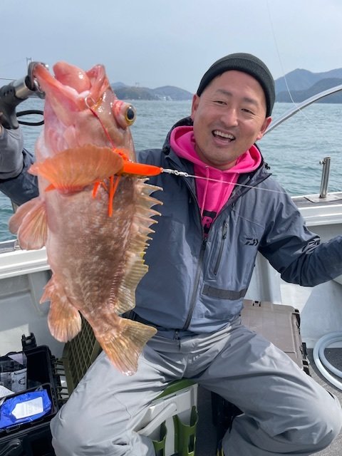 アコウ(キジハタ)