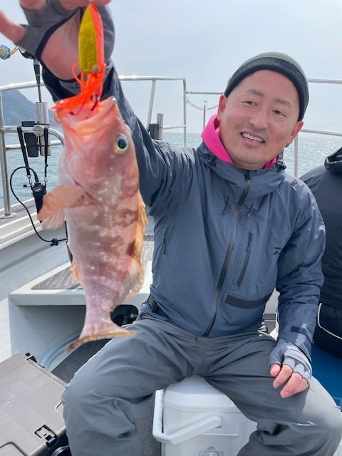 アコウ(キジハタ)