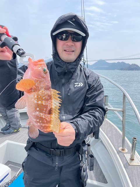 アコウ(キジハタ)