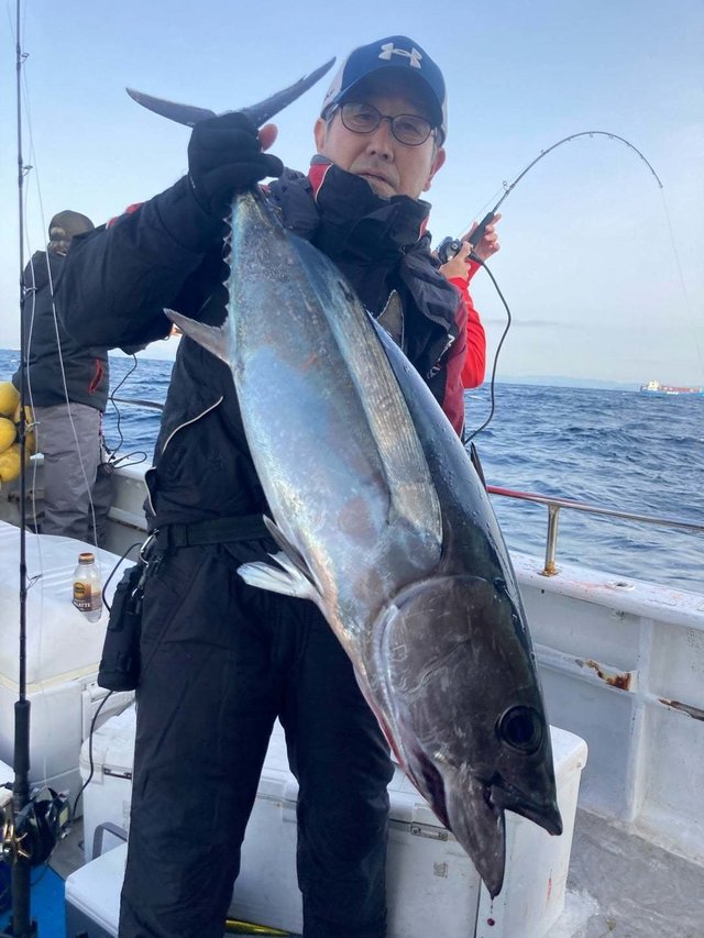 トンボ(ビンナガ)