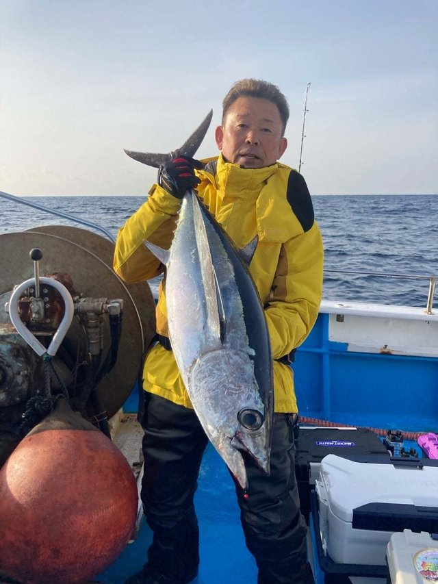 トンボ(ビンナガ)