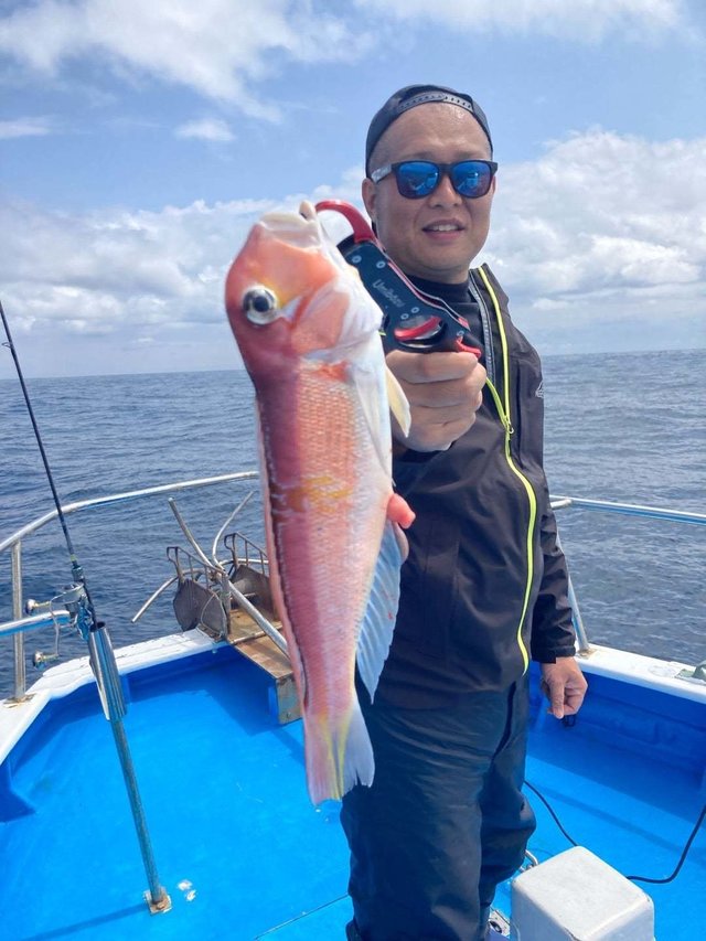 アマダイ(アカアマダイ)