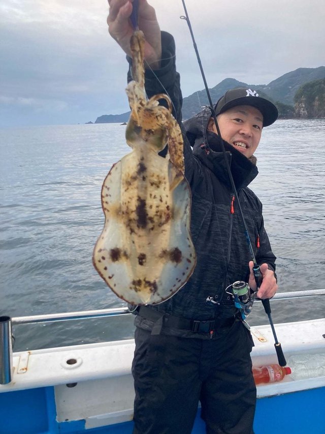 アオリ(アオリイカ)