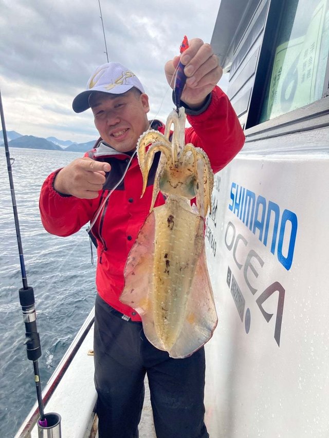 アオリ(アオリイカ)