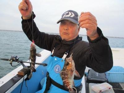 カサゴ・メバル