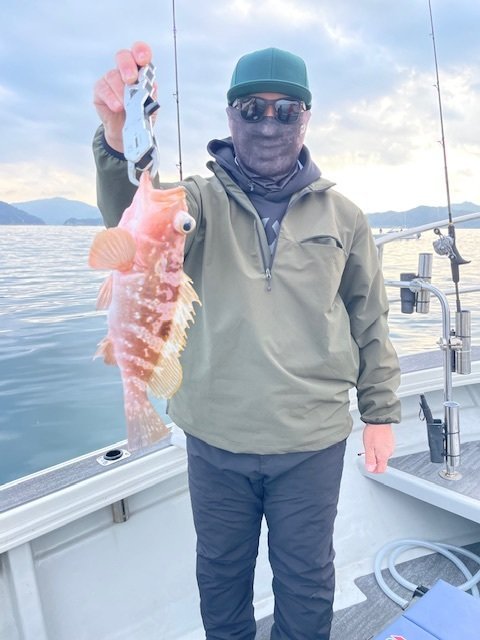 アコウ(キジハタ)