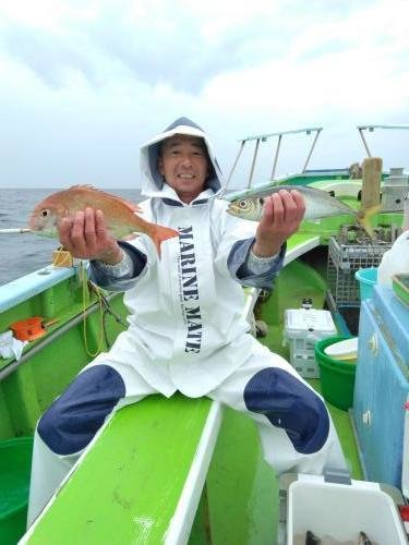 マダイ・アジ(マアジ)