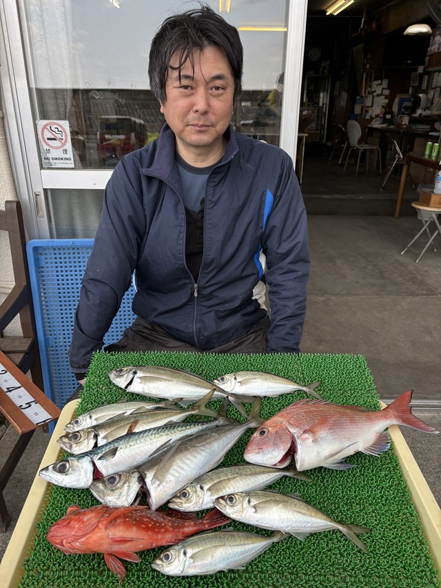 マダイ・アジ(マアジ)