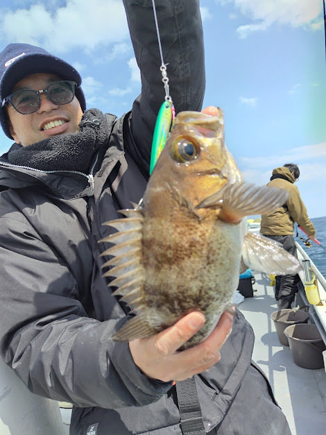 クロメバル(メバル)