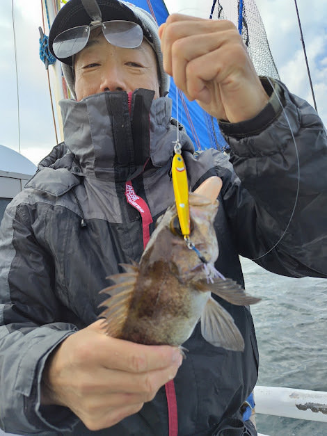 クロメバル(メバル)