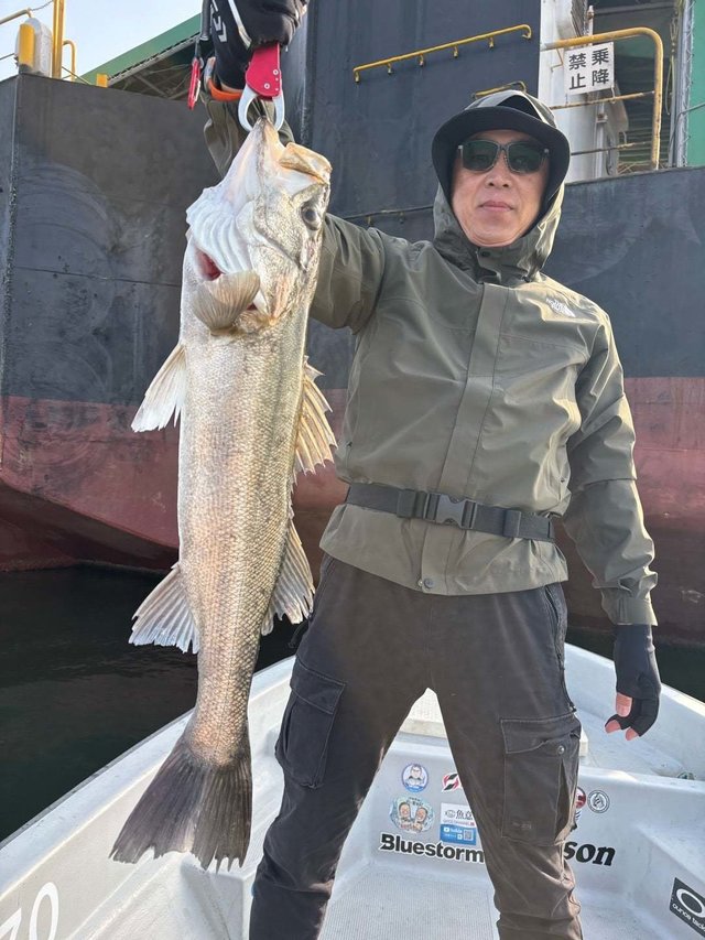 シーバス(スズキ)