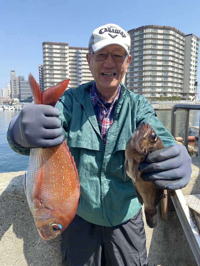 マダイ・メバル