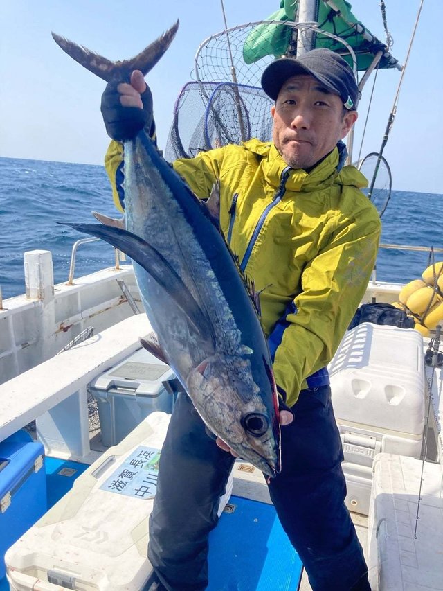 トンボ(ビンナガ)