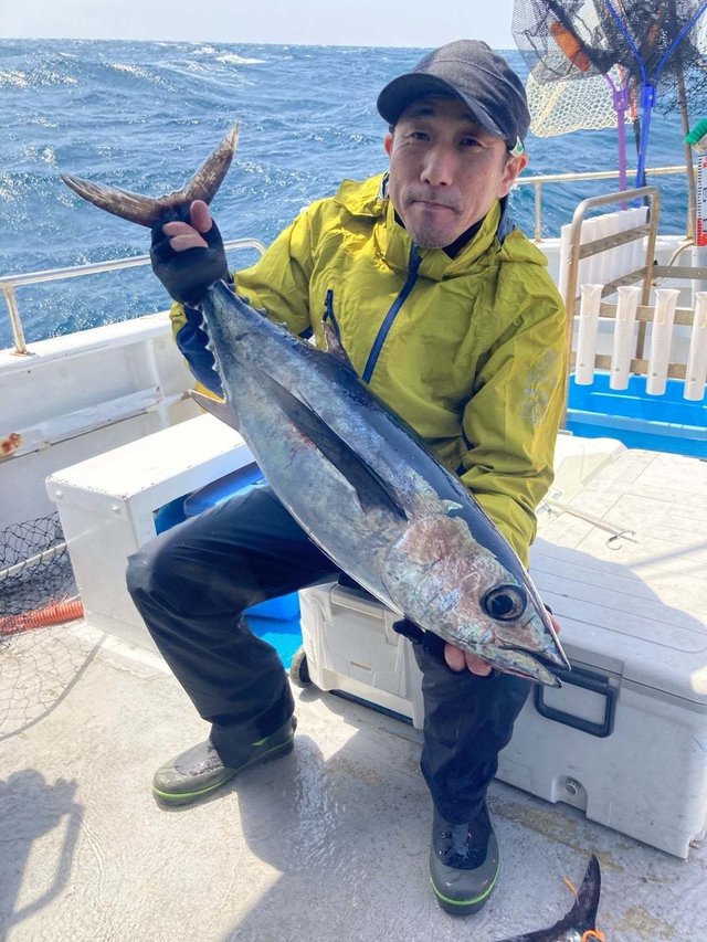 トンボ(ビンナガ)