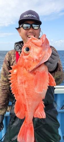 メヌケ(アコウダイ)