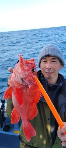 メヌケ(アコウダイ)