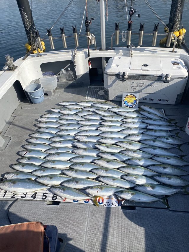 ハマチ(ブリ)・メジロ(ブリ)