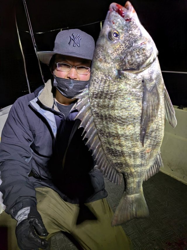 チヌ(クロダイ)