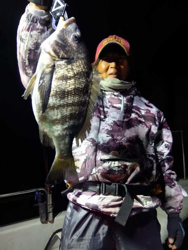 チヌ(クロダイ)