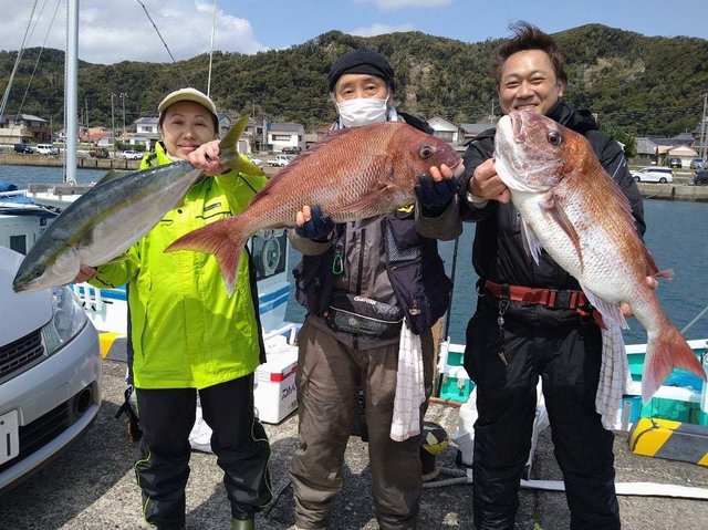 マダイ・ワラサ(ブリ)