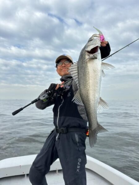 シーバス(スズキ)