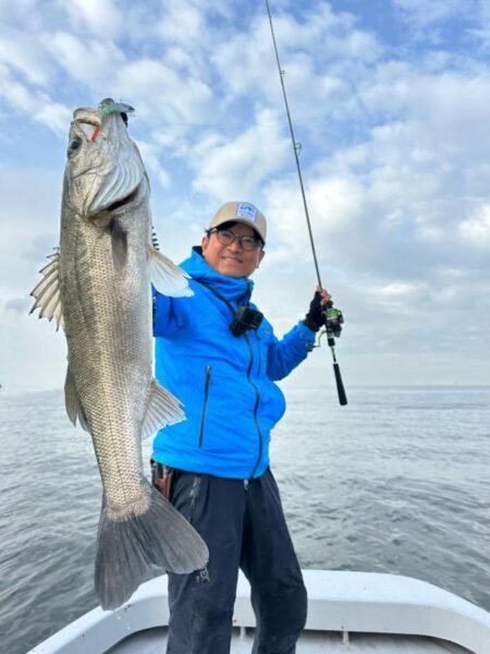 シーバス(スズキ)