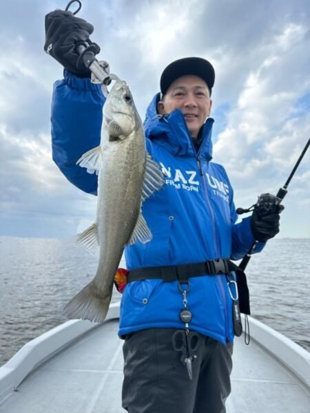 シーバス(スズキ)