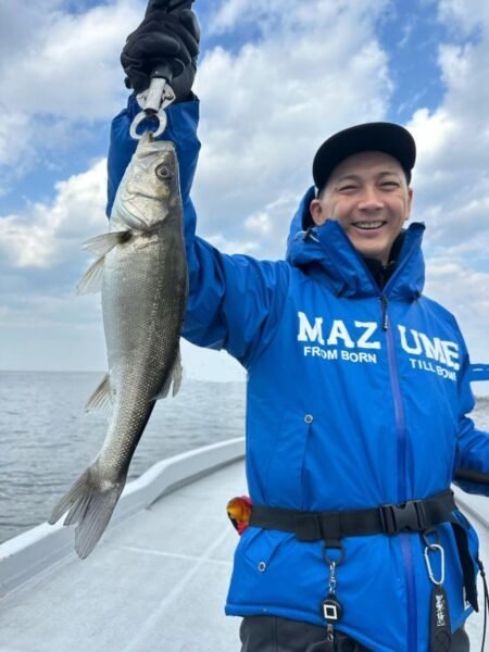 シーバス(スズキ)