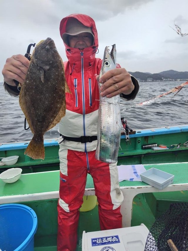 タチウオ・ヒラメ