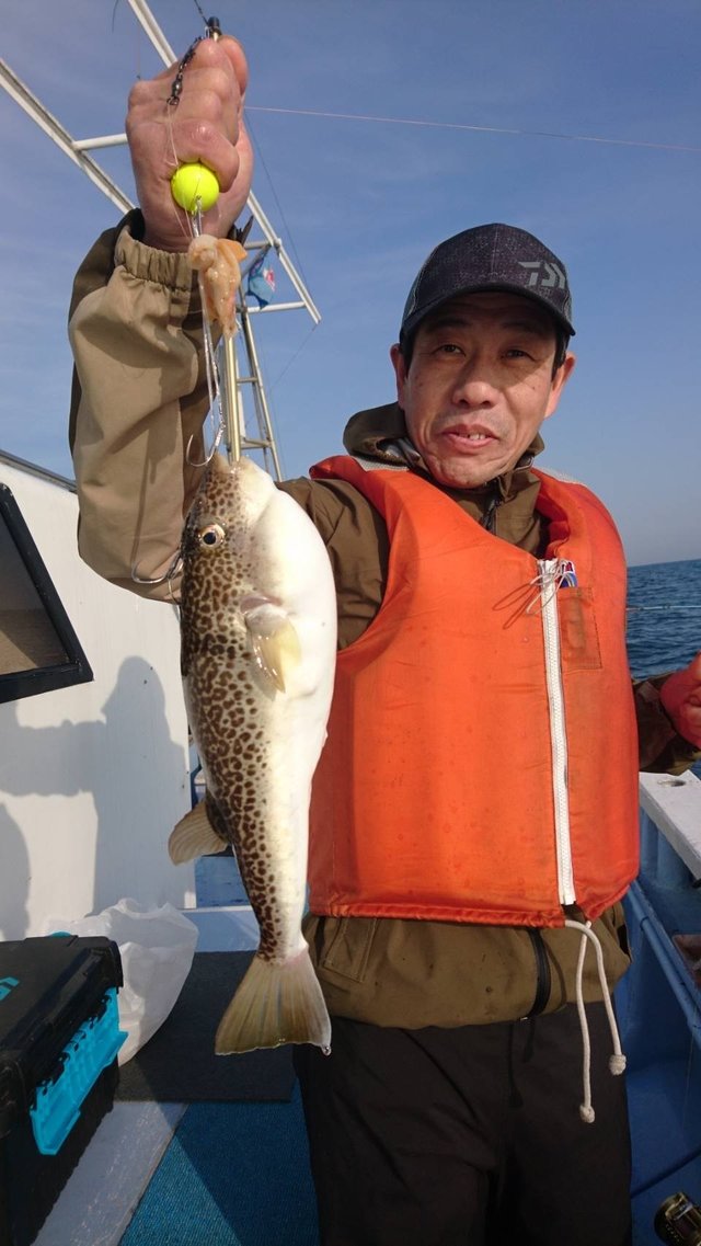 ショウサイフグ