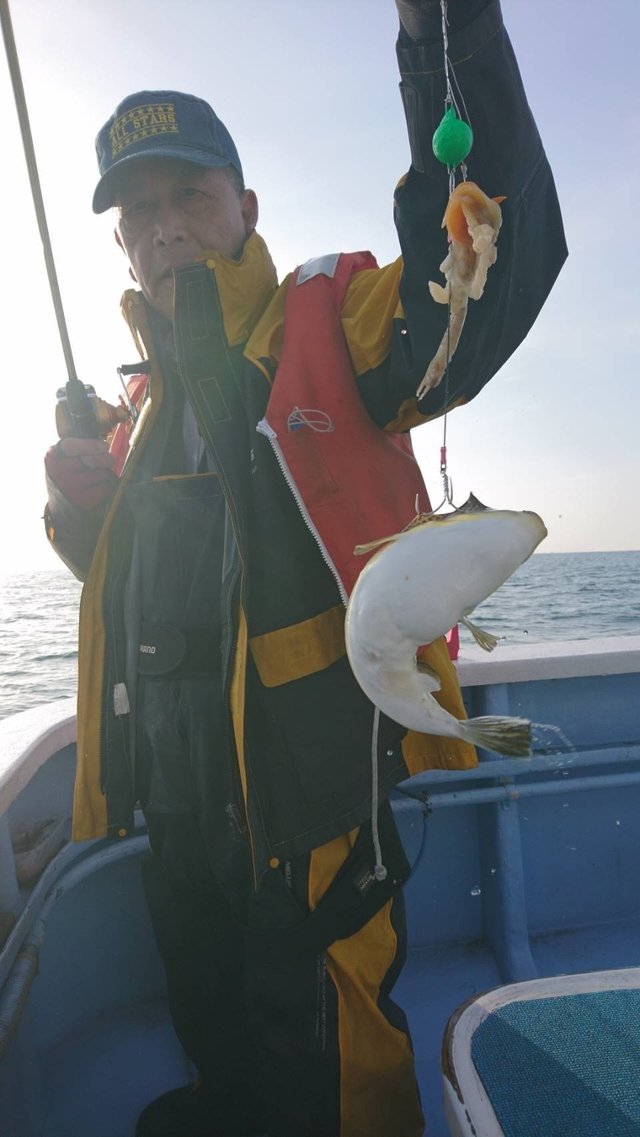 ショウサイフグ