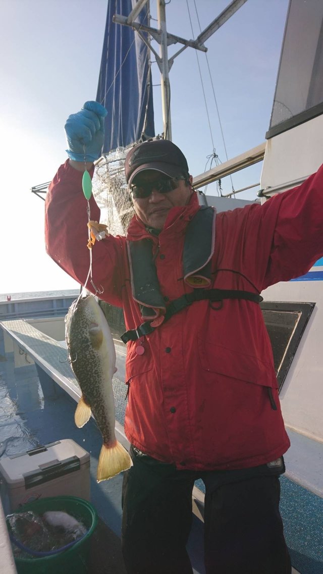 ショウサイフグ