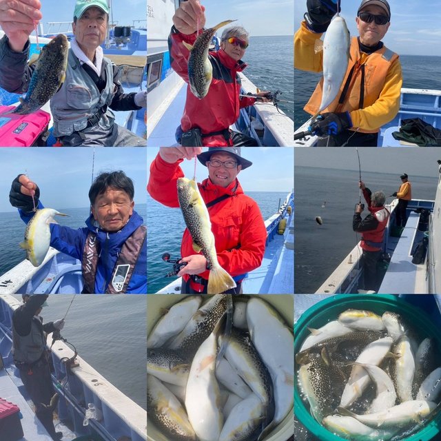 ショウサイフグ