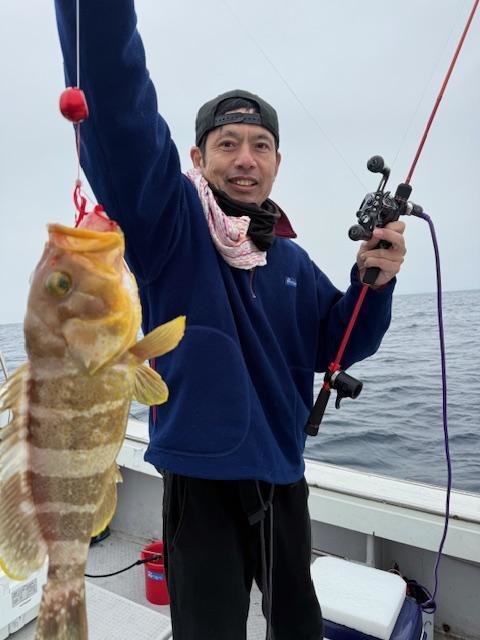 アオナ(アオハタ)