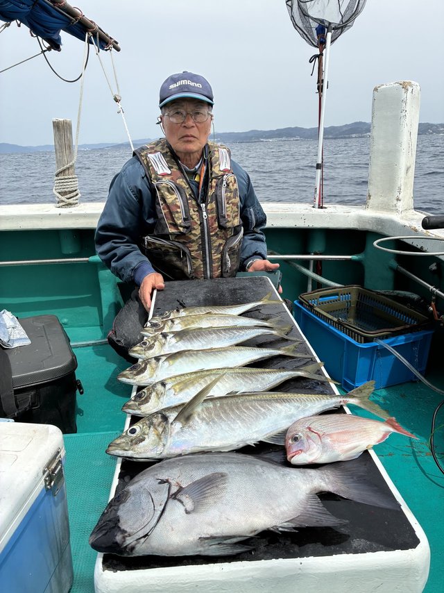 イシダイ・マアジ