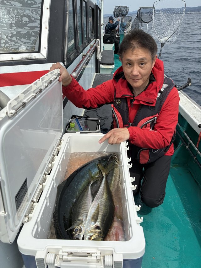 マアジ・メジロ(ブリ)