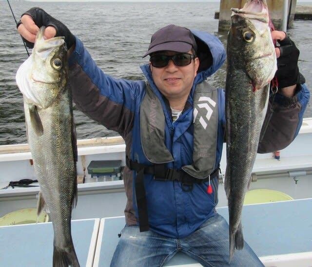 シーバス(スズキ)