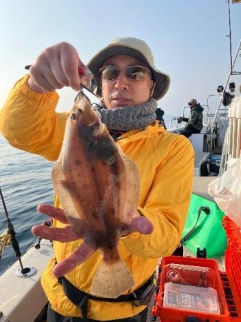 ガンゾウヒラメ(ガンゾウビラメ)