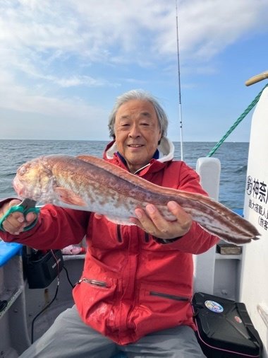 ヨロイイタチウオ