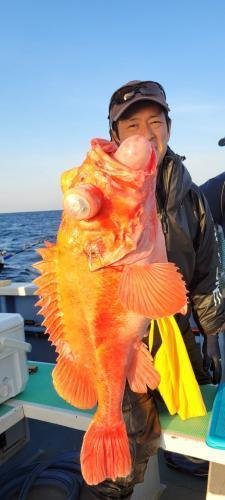 メヌケ(アコウダイ)