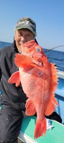 メヌケ(アコウダイ)