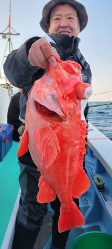 メヌケ(アコウダイ)