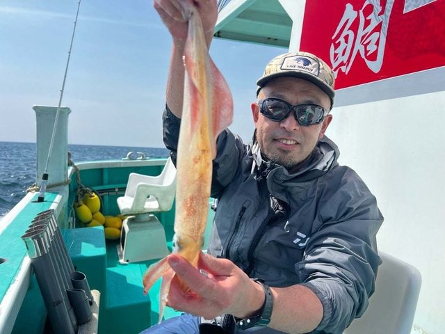 マルイカ(ケンサキイカ)