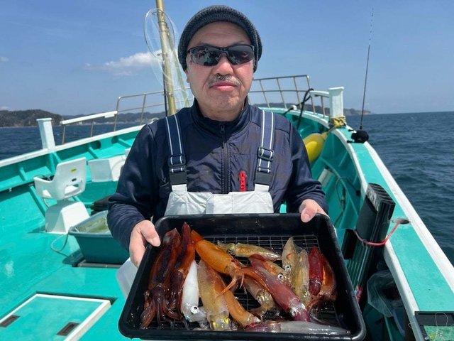 マルイカ(ケンサキイカ)・ムギイカ(スルメイカ)