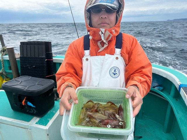 マルイカ(ケンサキイカ)