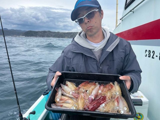 マルイカ(ケンサキイカ)