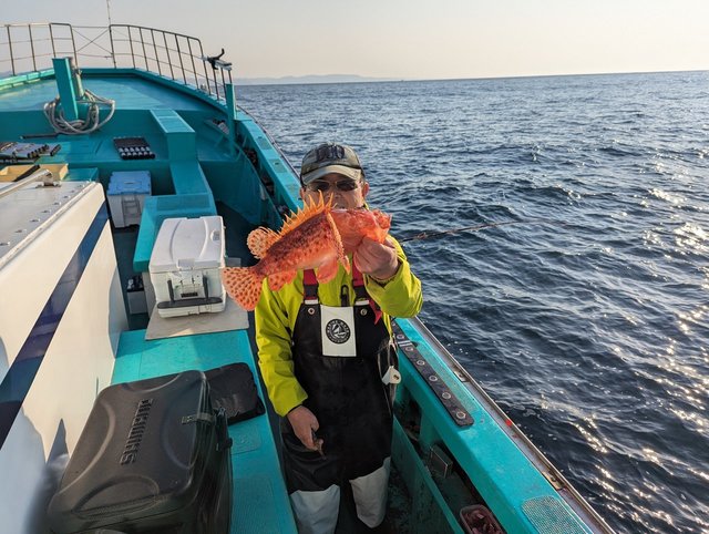 オニカサゴ(イズカサゴ)