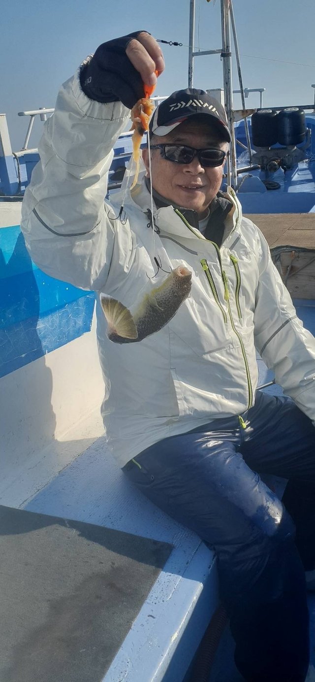 ショウサイフグ