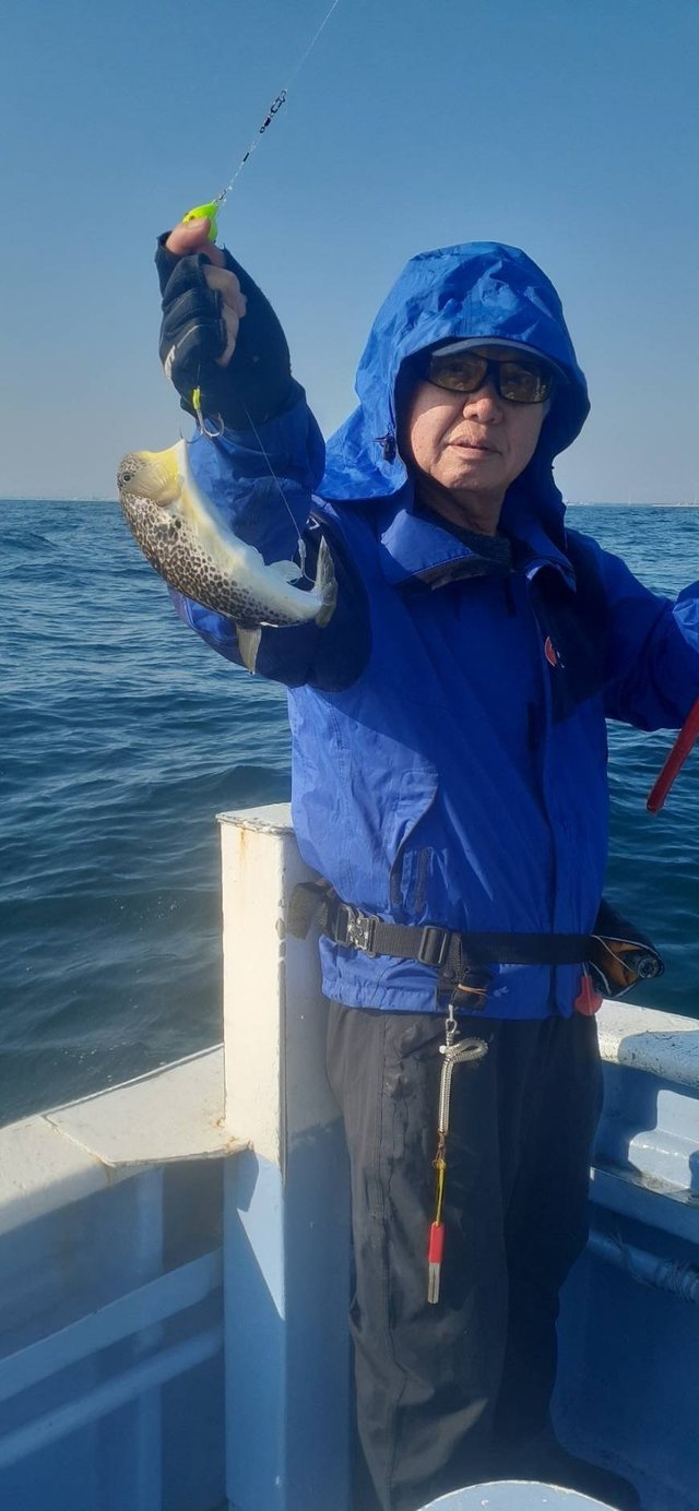 ショウサイフグ