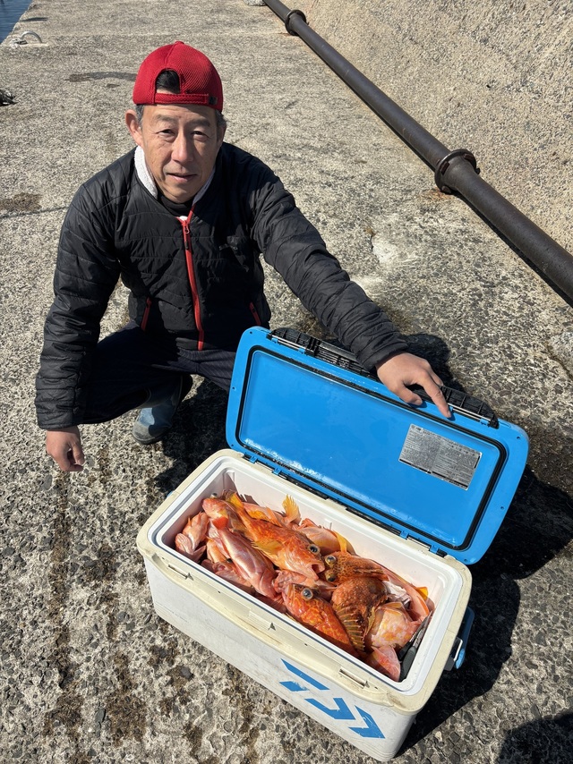 ボッコ(カサゴ)